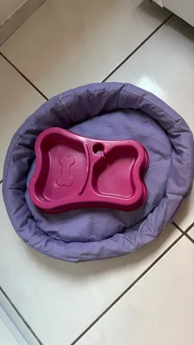 Caminha de cachorro