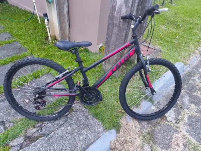 Bicicleta
