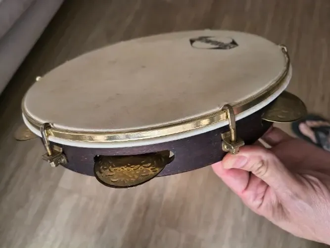 Pandeiro Contemporânea edição especial - Leo Rodrigues