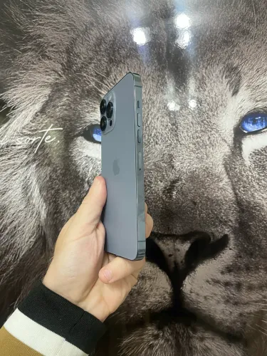 iPhone 13 Pro Max 128