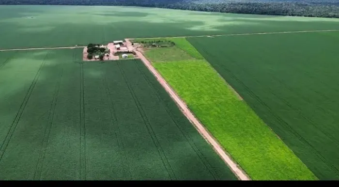 Fazenda de arrendamento pra Soja 500 a 2.000 hec em pasto em Nova Maringá MT.