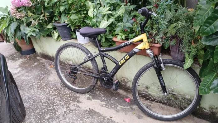 Bicicleta Caloi Max Front 