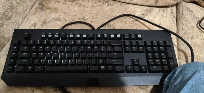 Teclado razer blackwidow v1