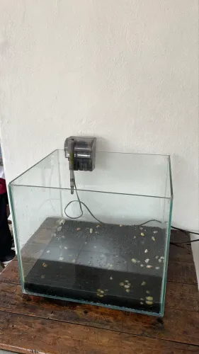 Aquário completo