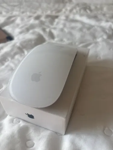 Magic Mouse Apple