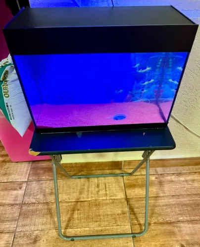 VENDO AQUÁRIO (PRA IR LOGO)