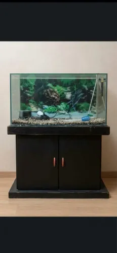 Aquário 260 L + Móvel