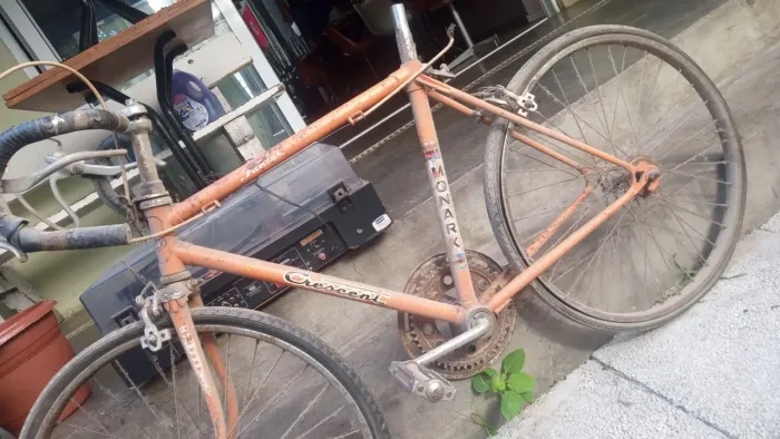 Bicicleta Monark junior crecent