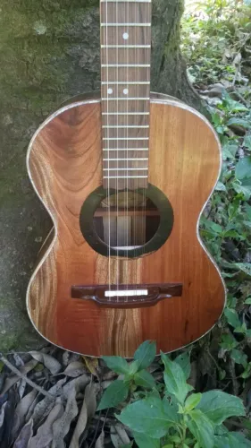 Viola de madeira maciça