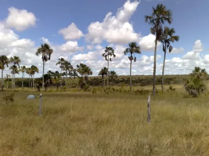 FAZENDA VENDA 1.470.000 c/ 525 Hectares MINAS GERAIS