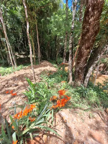 chácara com 20 mil m², escriturada e registrada, rio, padrão de luz ligado