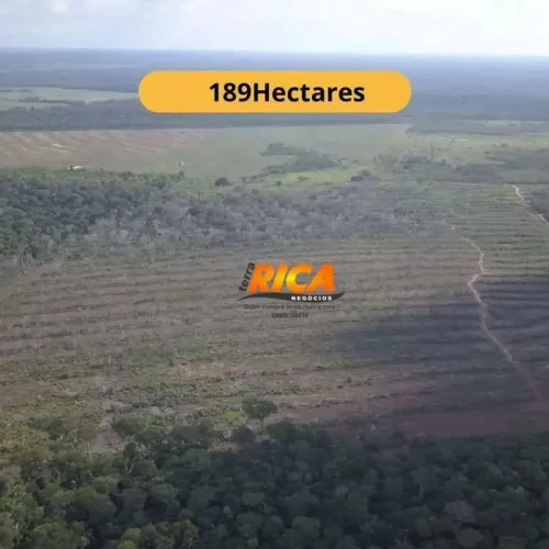 Vende-se Fazenda com 60 Hectares de Pasto  Preço de Ocasião