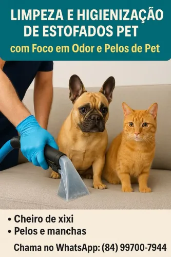Limpeza e higienização pet