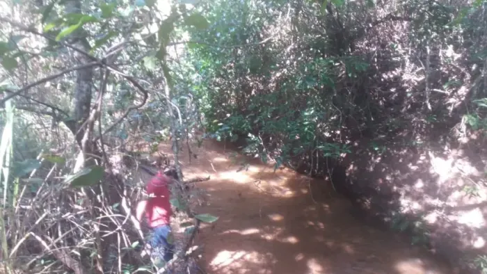 Fazenda 256,00 ha - Buritizeiro/MG
