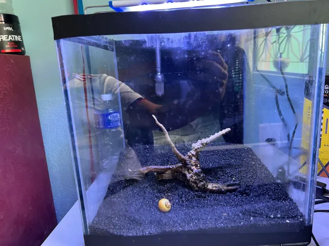 Aquário 50L completo
