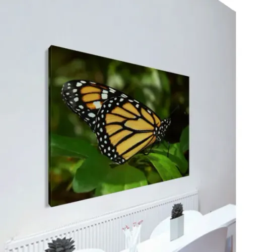 Quadro com Fotografia da Natureza (tamanho 40 x 60cm em tela canvas)