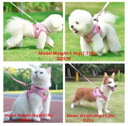 2 Conjuntos De Alça Para Peito E Costas, Tamanho pequeno