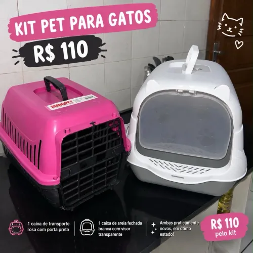 Pets gatos 