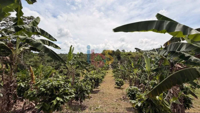 Vendo Fazenda Mista em Itajuípe