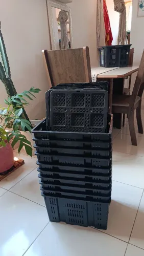 Cesto organizador de plástico