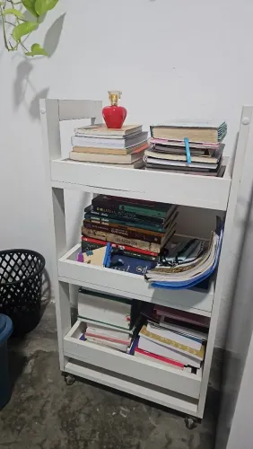 Carrinho auxiliar (ABERTA A NEGOCIAÇÃO)