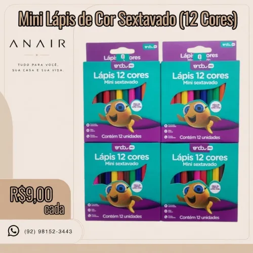 Mini Lápis de Cor Sextavado (12 Cores)