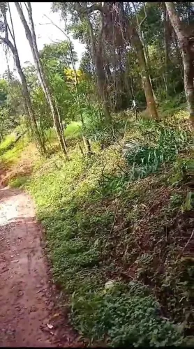 Troco terreno por veículo, um pelo outro ou dinheiro.
