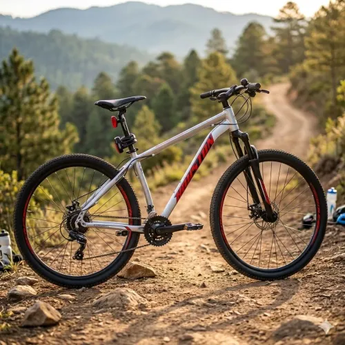 Bicicleta usada