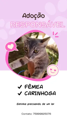 Doação responsável 