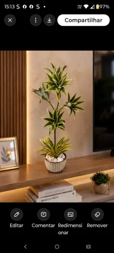 lindo arranjo de dracena brasileirinho permanente