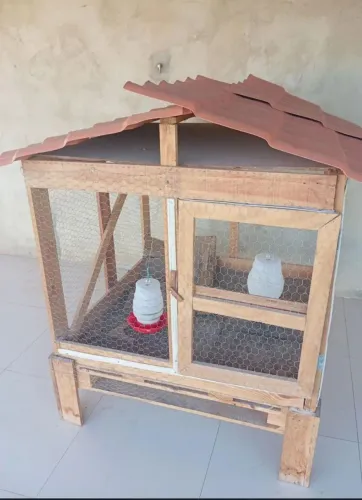 Casinha para pintos