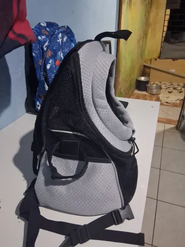 Bolsa de cachorro 