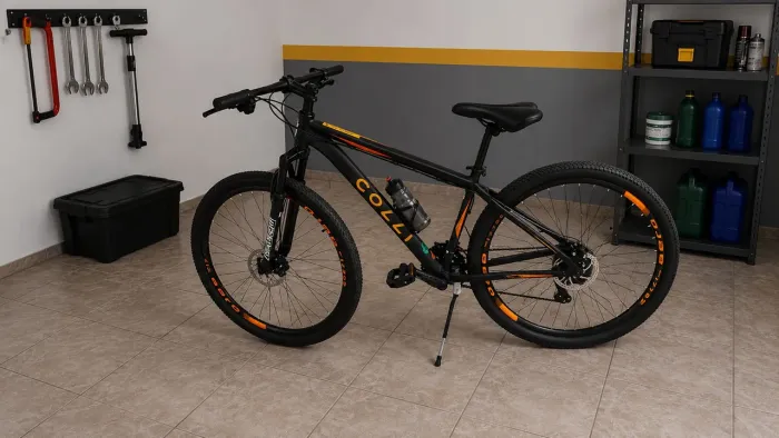 Bicicleta