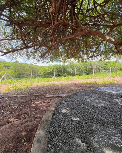 Terreno