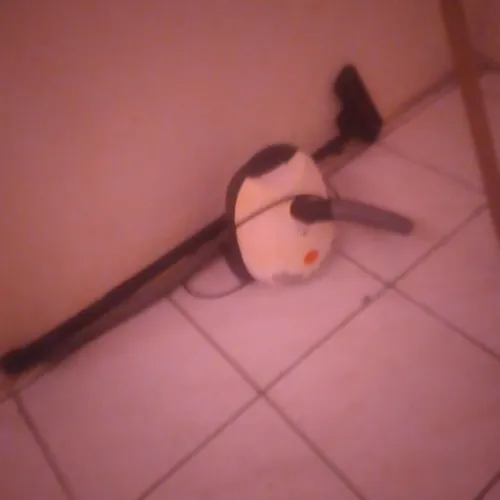 Aspirador de pó