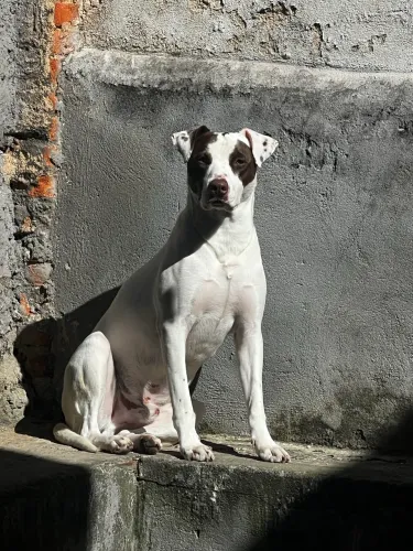 Doação