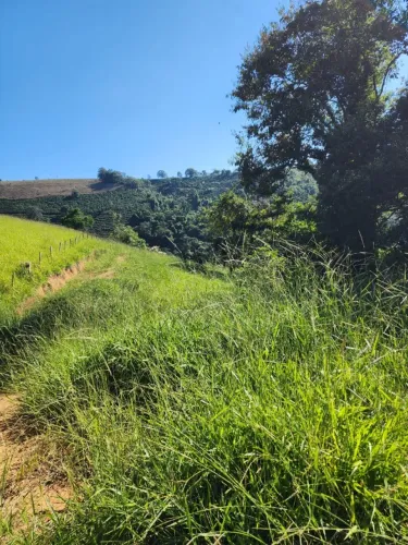 Terra de altitude, excelente para plantio de café 3,2 alqueires 