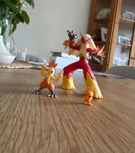 Linha evolutiva Torchic Pokémon 