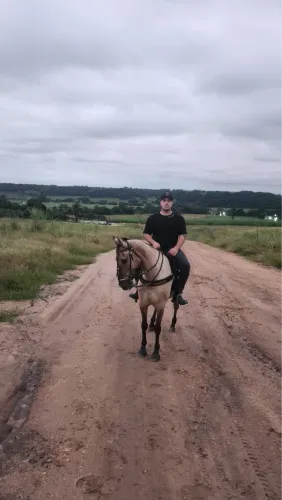 Cavalo de Esteira