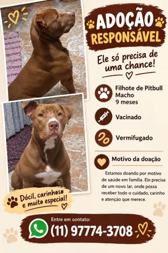 Doação