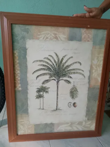 Quadro coqueiro