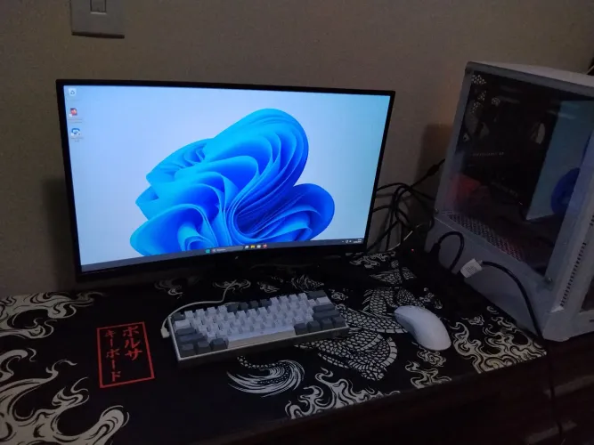 Setup Gamer Semi Completo