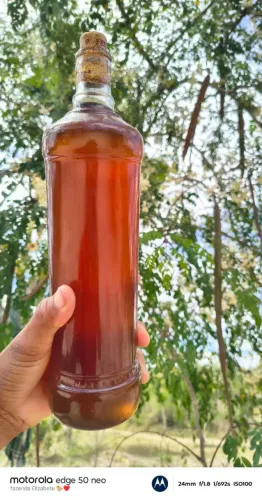 Mel puro abelha Africana 