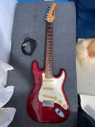 Guitarra Shelter USA