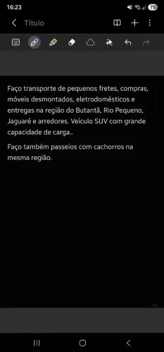 Transporte de pequenos volumes/compras e passeios com cachorros