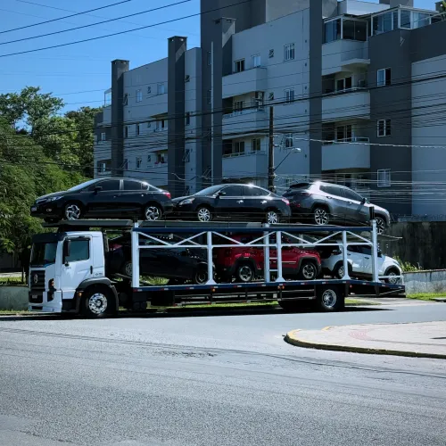 Caminhão Cegonha ?