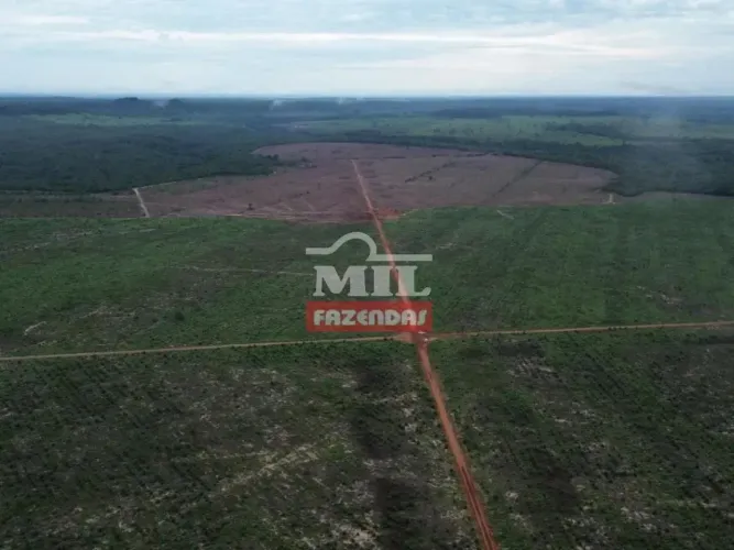 Fazenda 745 alqueires (3.607 hectares) Goiatins - Go