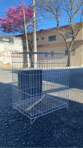 Gaiola de ferro