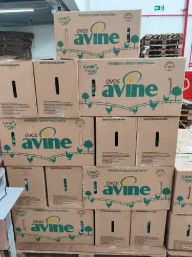 CAIXAS DE OVOS DE PAPELÃO.