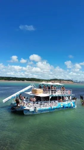 Passeio de catamaram piscinas naturais 
